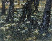 Undergrowth Vincent Van Gogh